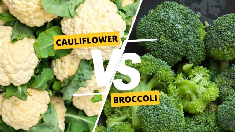 Cauliflower vs Broccoli