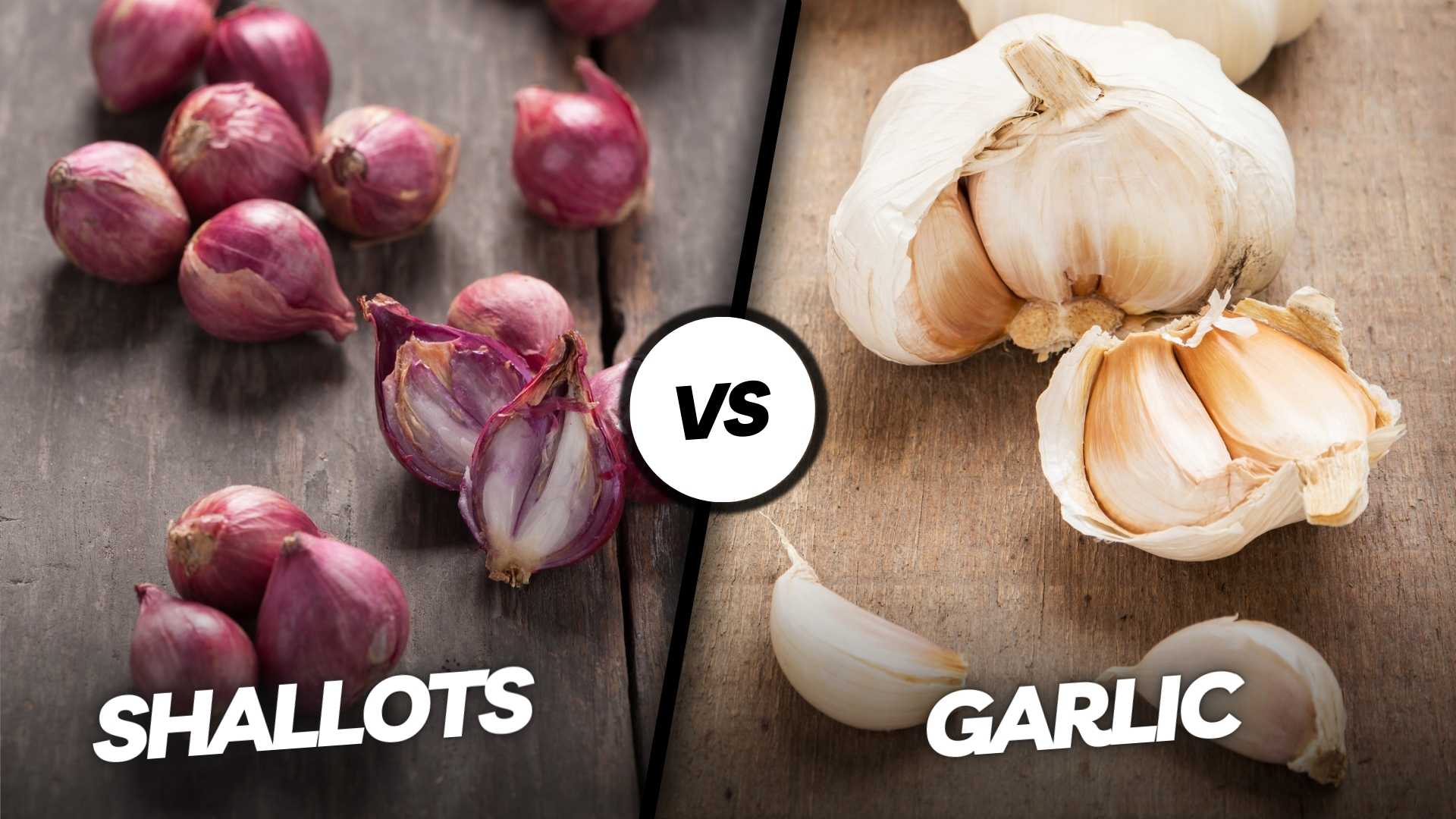 Shallots vs Garlic